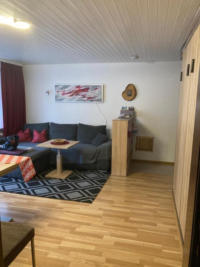 Gemuetliche Ferienwohnung In Sankt Blasien Eksteriør billede